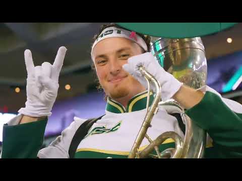 This is USF | University of South Florida