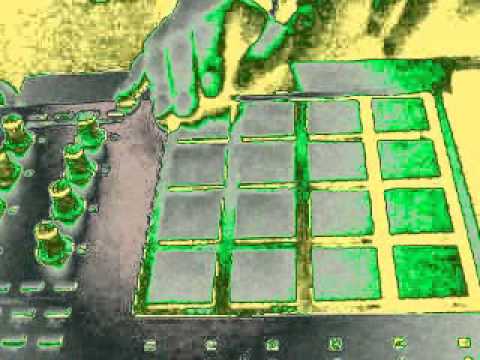 MPD 24 Ableton Live Beat