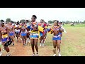 ZULU DANCERS TOPLESS DANCER AFRICAN TRIBES TRADITIONAL DANCE