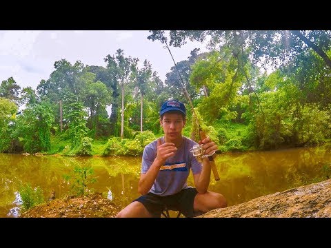 Micro Fishing / Channel Introduction
