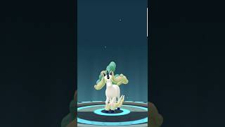 Transferring a shiny Galarian Rapidash #pokemon #pokemongo #shinypokemon