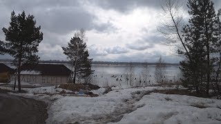 Ловля ельца зимой на енисее