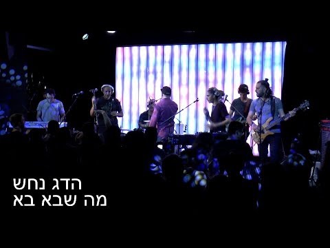 Hadag Nahash - Ma Sheba Ba Live in New York 05/02/18 הדג נחש - מה שבא בא