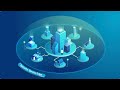 Security Service Edge SSE Explained