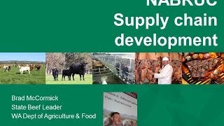 Beef supply chain development