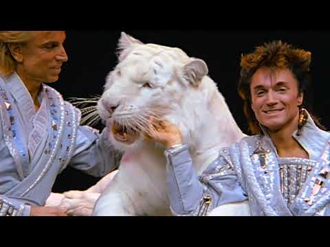 Siegfried Roy How It Really Happened