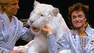 Siegfried & Roy: How It Really Happened