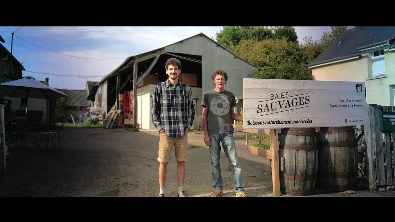 Baies sauvages et cie