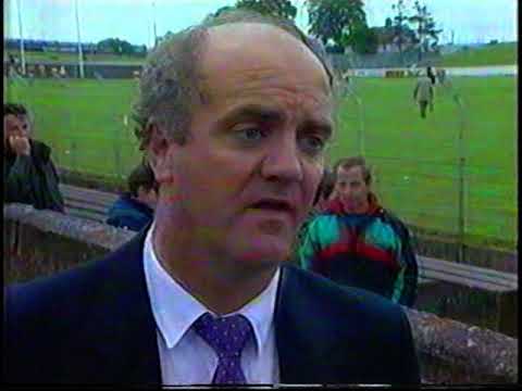 1992 Leinster Hurling Quarter Final Wexford v Laois