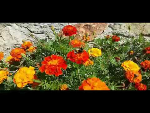 Jósvafő a Rudabánya 2017