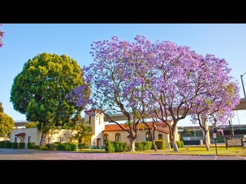 Who Can Enter the Kingdom of God? Pt. 1 - Mark 10:13-31 Morning