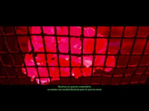 Ley 20Mil - El Mundo Sangro