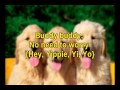 Slowed Down Karaoke Who Let The Dogs Out 沒有人聲卡拉版