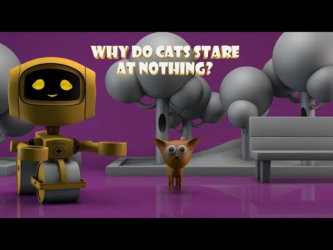 Do you know why CATs stare at nothing ?