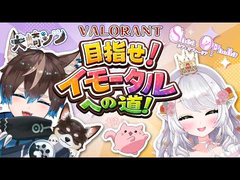 【 #VALORANT #目指せイモータルへの道！ 】犬崎シンさんとイモ目指す！第二回目！【 #シアオフィ 】