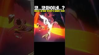 👉사황 루피의 공격에 키자루가 당황한 이유! #onepiece #원피스