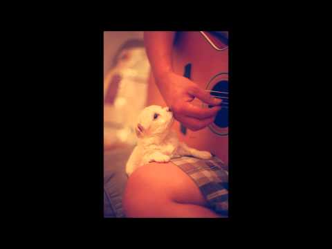 ♥Love Is Free For All♥