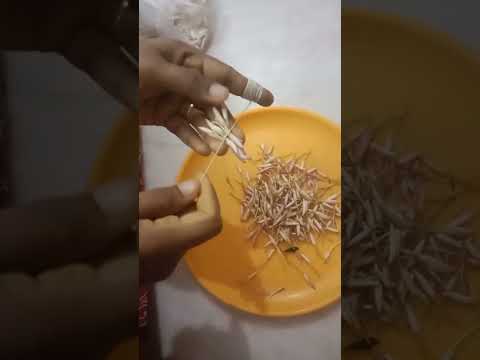 Different &Easy method to tie flowers by using needle 2minutes|jathi malli poo.💮💮💐