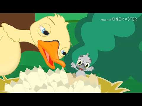 ton carfi e livinho - Minha vez