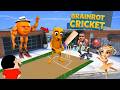 Frankllin Shinchan Playing Cricket With Tung Tung Tung Sahur Brainrots GTA 5