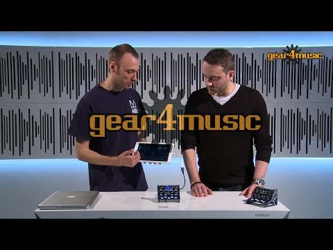 Modal Electronics CRAFTsynth Digital Monophonic Synthesizer Kit 2010s - Blue image 4