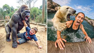 Os ataques mais mortais em zoológicos já registrados