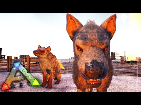 ARK PRIMITIVO #62 - MELHOR Estratégia para Domar HIENODONTE! (100% Efetividade)