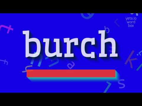 How to say "burch"! (High Quality Voices)