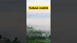 Download lagu SURGA DUNIA #shorts #wisatakaltim mp3
