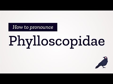 How to Pronouonce Phylloscopidae