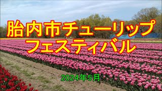 [ 旅(観光地・施設) ] 胎内市チューリップフェスティバル