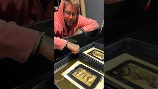 Day 9 of platinum/palladium printing every day in August