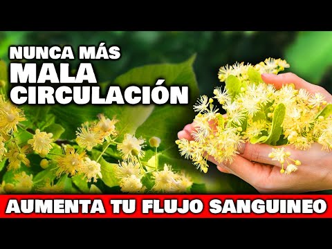 SHOCKING! The 5 PLANTS to IMPROVE CIRCULATION in LEGS and FEET | ELIMINATE POOR CIRCULATION