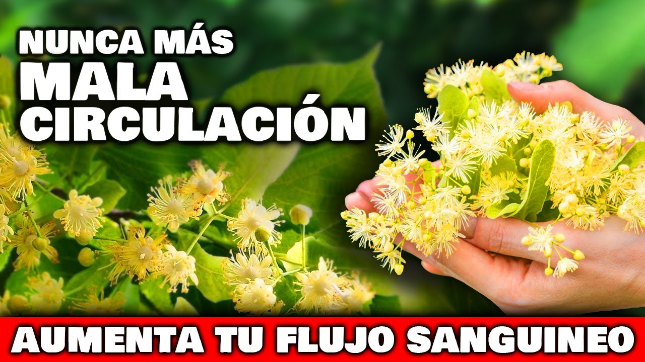 ¡IMPACTANTE! Las 5 PLANTAS para MEJORAR LA CIRCULACIÓN en PIERNAS y PIES | ELIMINAR MALA CIRCULACIÓN