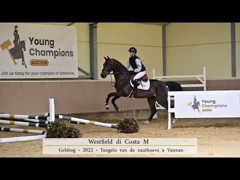 Under Saddle