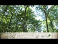 Happy Birthday - Older than Dirt by Curtis Brand -