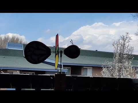 Butter Bee 🐝 Wind Spinner 050521-01