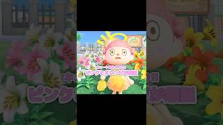 次は金バラか青バラの冠レシピをゲットしたい...？！？！#あつ森 #どうぶつの森 #あつまれどうぶつの森 #shortvideo #short #shorts