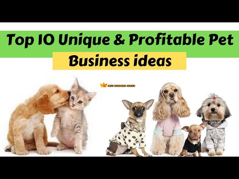 , title : 'Top 10 Unique & Profitable Pet Business ideas'