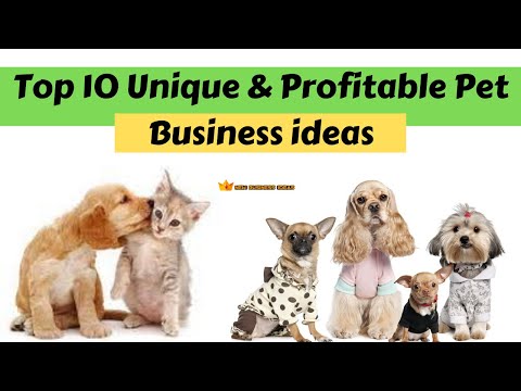 YouTube video about Unique Concepts for a Fresh Pet Business