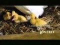 Charlotte S Web Trailer