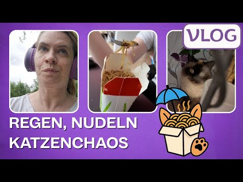 Rain, noodles & bookish feelings | Everyday life, cats & a missing memory card 😅