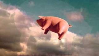 Pink Floyd "Pigs on the Wing" Parts 1 & 2, with lyrics