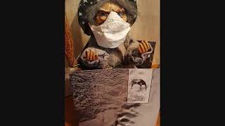 O Yuki Conjugate ‎– Peyote (full album)