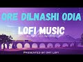Ore Dilnashi Odia Lofi Song (Slowed and Reverb) || OMT LOFI
