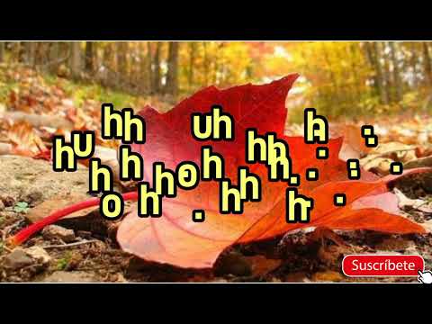 aleh KATAN sheli l מוטיי שטיינמץ  העלה הקטן שלי🎙️