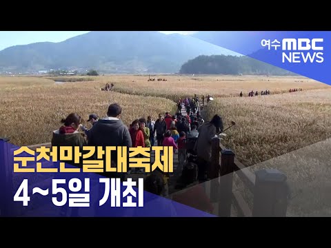 순천만갈대축제 4~5일 개최 (231101수/뉴스데스크)
