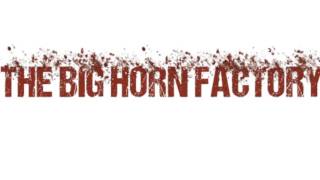 St James Infirmary feat. Denise King