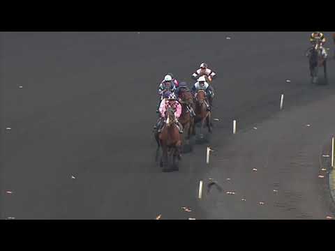 ATLESSIMA - Prix de Vincennes 2013