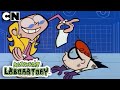 Hela Avsnittet På Svenska Dexters Laboratorium Cartoon Network Classics